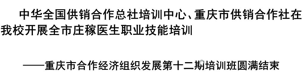 我校教师陈应会老师在永川区委重要接待中立大功